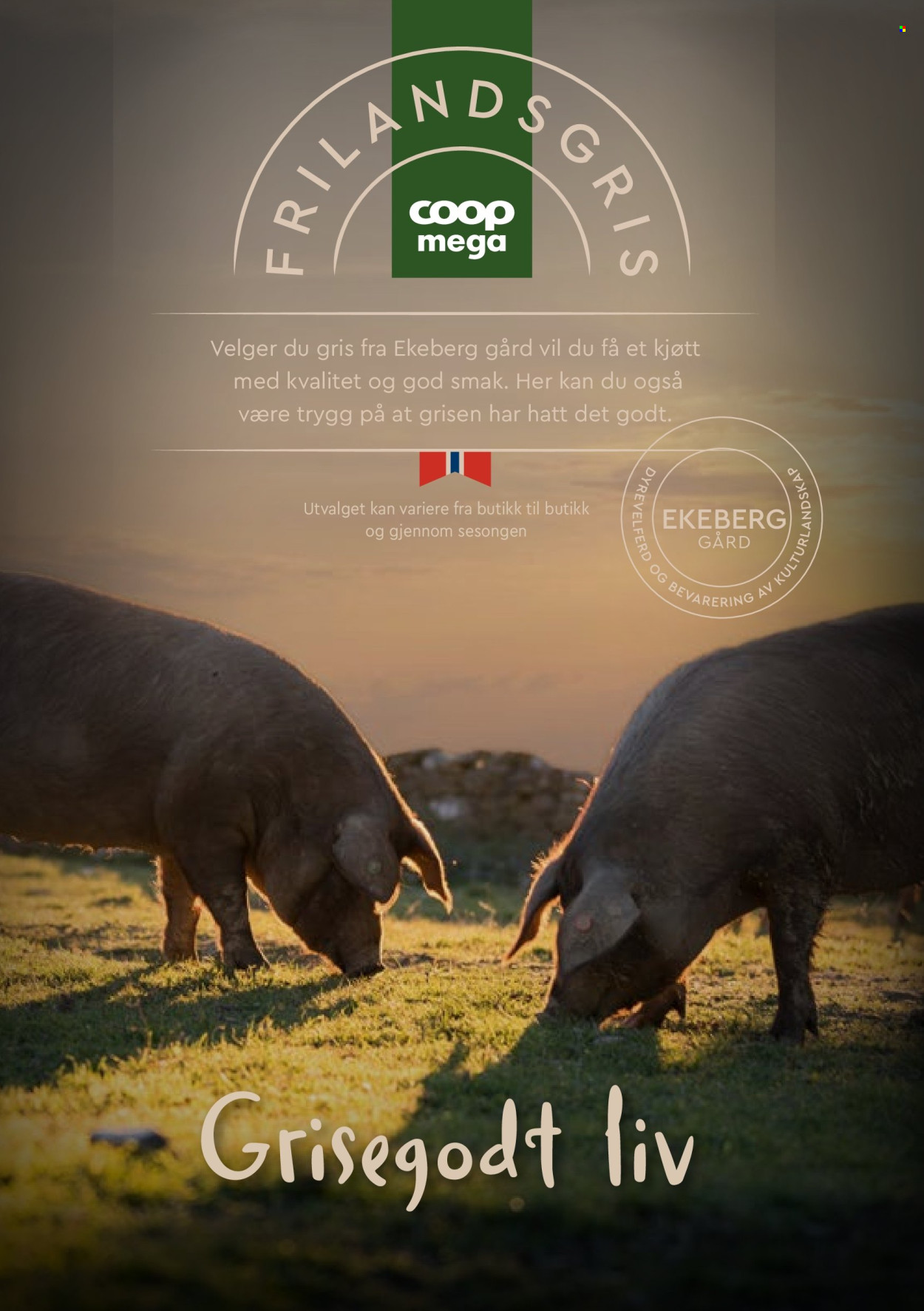 Coop Mega -kundeavis . Side 16. Side 16