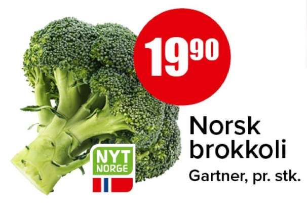 Norsk brokkoli