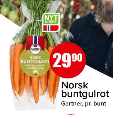 Norsk buntgulrot