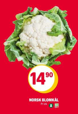Norsk blomkål