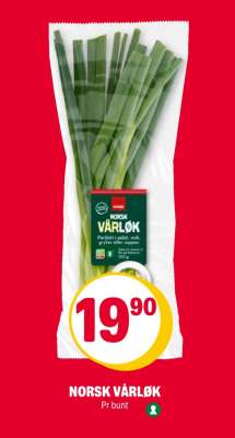 NORSK VÅRLØK