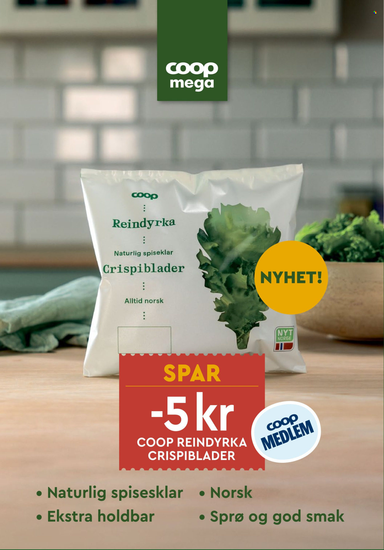 Coop Mega -kundeavis  - 31.08.2026 - 05.09.2026. Side 13. Side 13