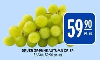 DRUER GRØNNE AUTUMN CRISP
