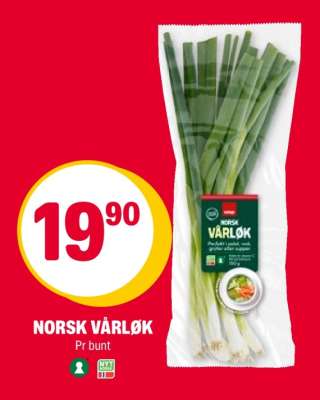 NORSK VÅRLØK