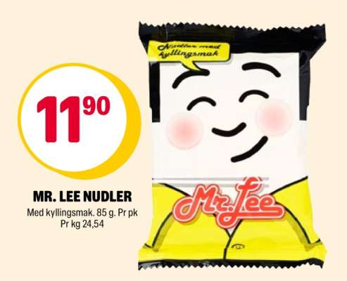 Mr. Lee Nudler
