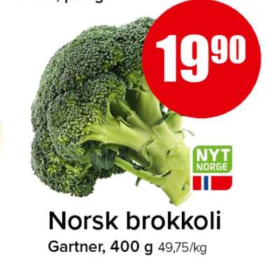 Norsk brokkoli