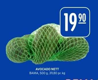 AVOCADO NETT