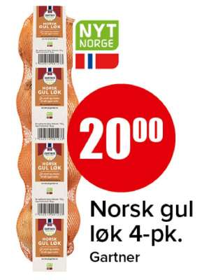 Norsk gul løk 4-pk.