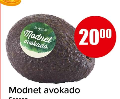 Modnet avokado