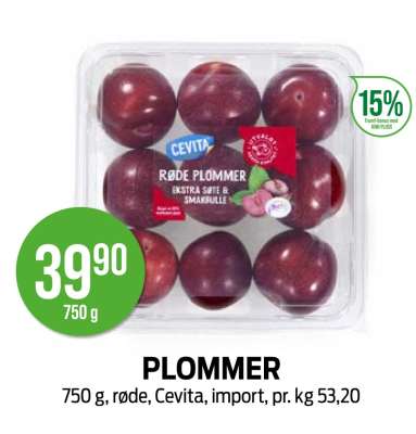 PLOMMER
